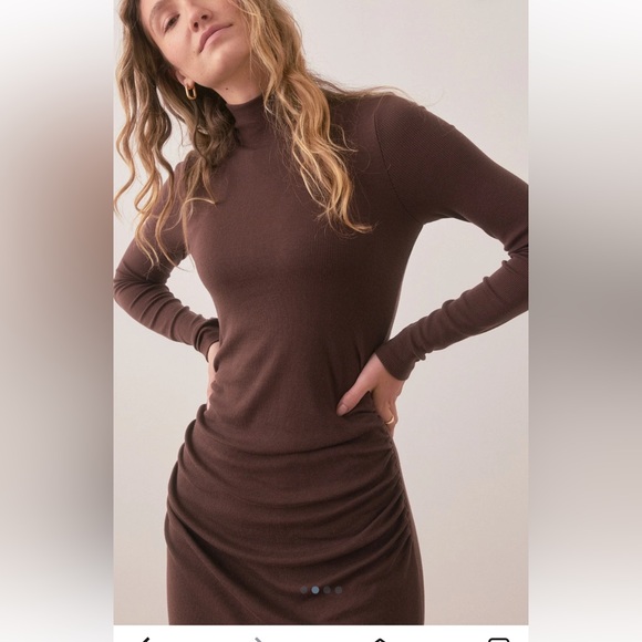 Lexi Rib Ruched Turtleneck Dress - Picture 3 of 5